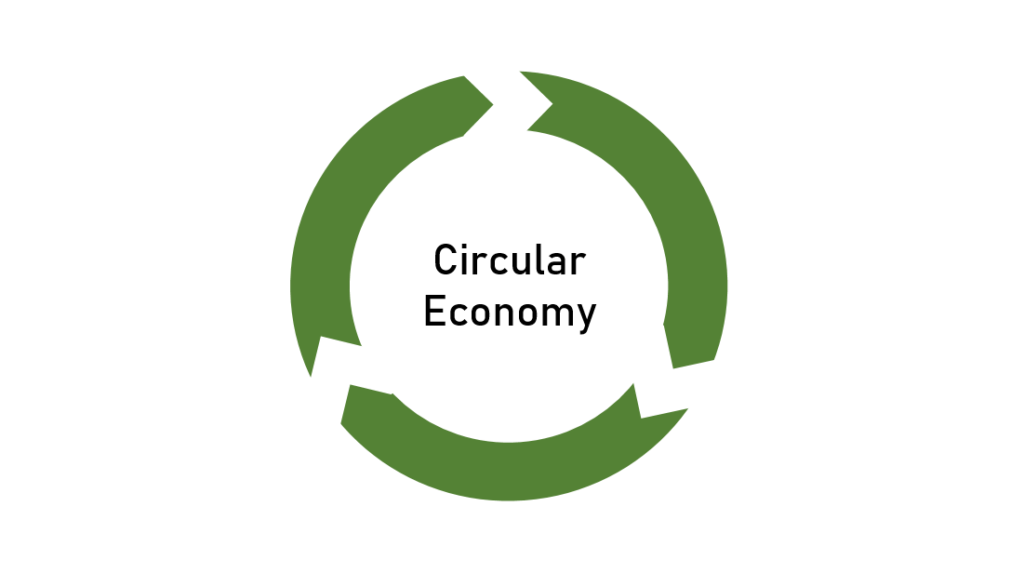 Your Guide to Circular Economies: The Future of Sustainable Industry –  CASPER MAGAZINE